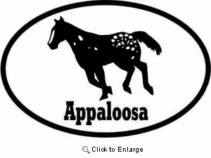 Appaloosa Horse Bumper Sticker Euro