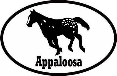 Appaloosa Horse Bumper Sticker Euro