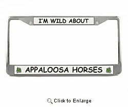 Appaloosa Horse License Plate Frame