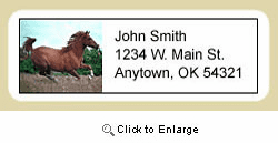 Arabian Horse Address Labels