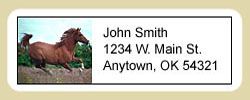 Arabian Horse Address Labels