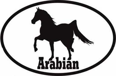 Arabian Horse Bumper Sticker Euro