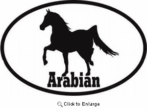 Arabian Horse Bumper Sticker Euro