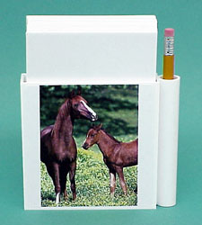 Arabian Horse Hold-a-Note