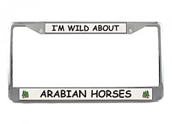 Arabian Horse License Plate Frame