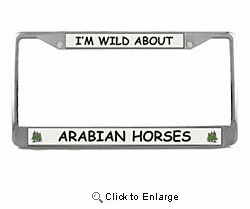 Arabian Horse License Plate Frame