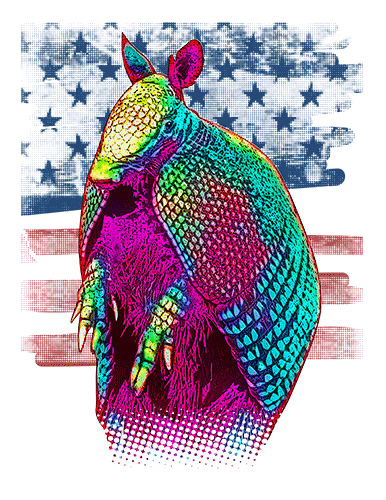 Armadillo T Shirt American Flag