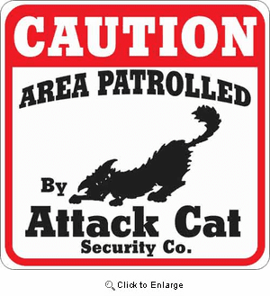 Attack Cat Sign