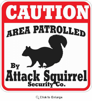 Attack Squirrel Sign