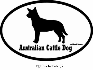 Australian Cattle Dog Bumper Sticker Euro