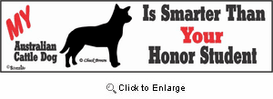 Australian Cattle Dog Bumper Sticker Honor Student