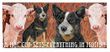 Australian Cattle Dog Coffee Mug