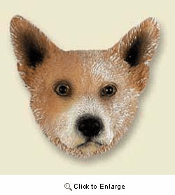 Australian Cattle Dog Magnet