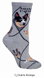 Australian Cattle Dog Socks