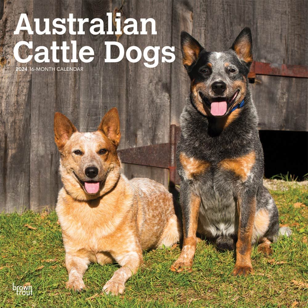Australian Cattle Dog Gifts