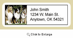 Australian Shepherd Address Labels