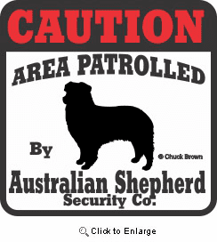 Australian Shepherd Bumper Sticker Caution