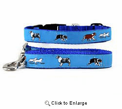 Australian Shepherd Collar & Leash