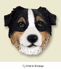 Australian Shepherd Magnet