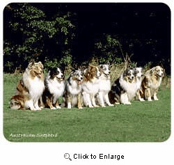 Australian Shepherd Mousepad