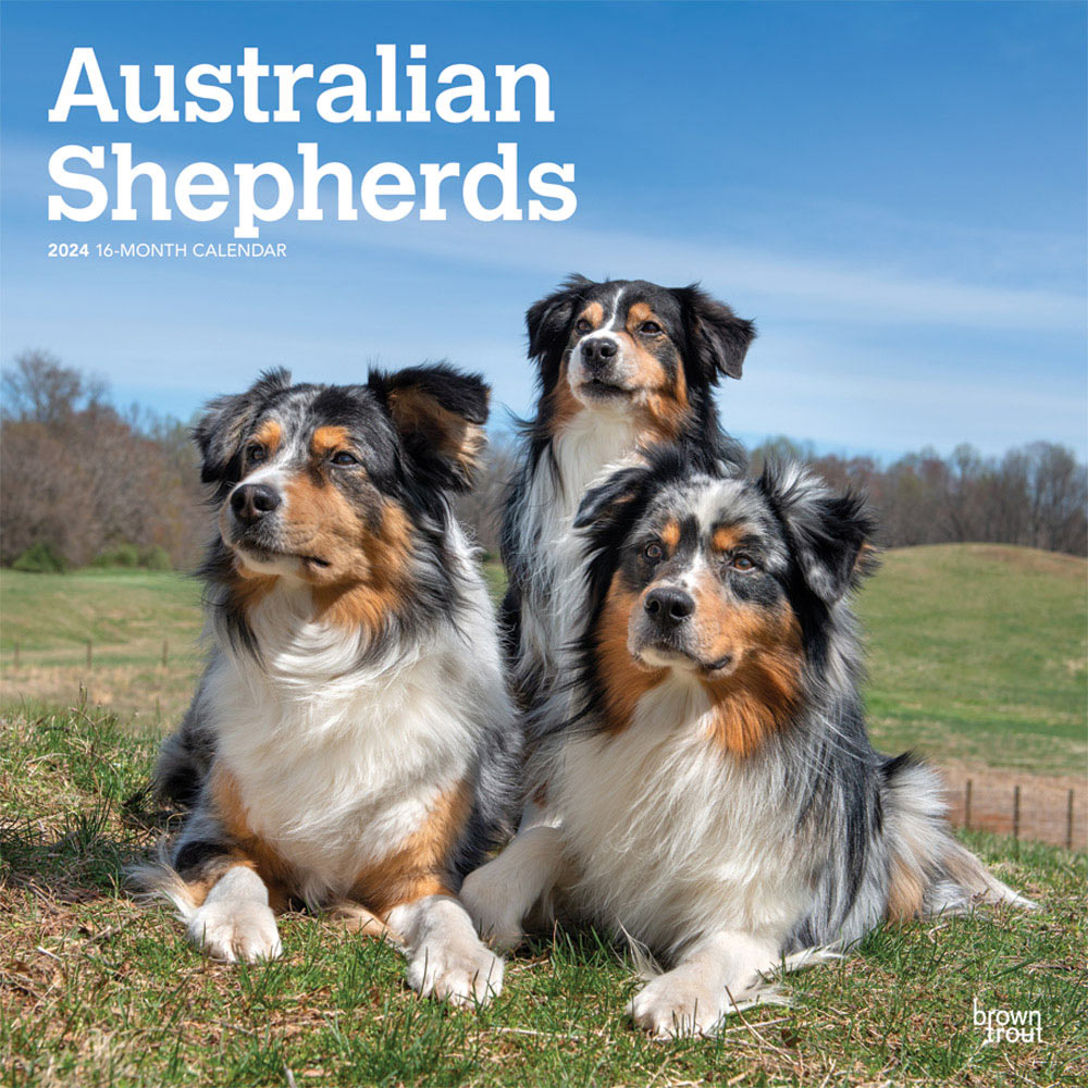 Australian Shepherds Calendar 2025Animal Den
