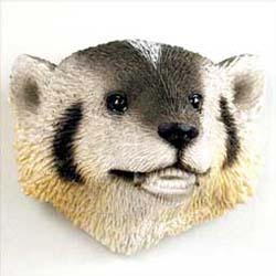 Badger Magnet
