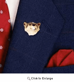 Badger Pin Hand Painted Resin