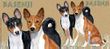 Basenji Coffee Mug
