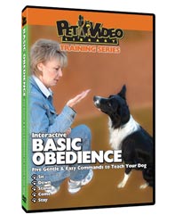 Basic Obedience Video