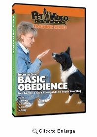 Basic Obedience Video