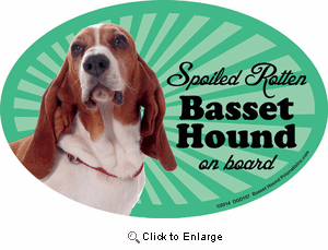 Basset Hound Car Magnet - Spoiled Rotten