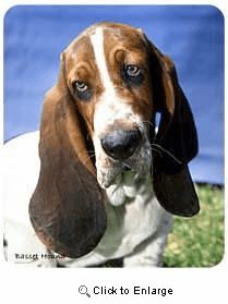 Basset Hound Mousepad