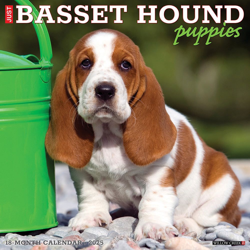 Basset Hound Puppies Calendar 2025|Animal Den