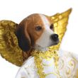 Beagle Angel Christmas Tree Topper