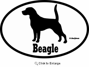 Beagle Bumper Sticker Euro