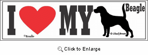 Beagle Bumper Sticker I Love My