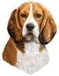 Beagle Decal Window Sticker