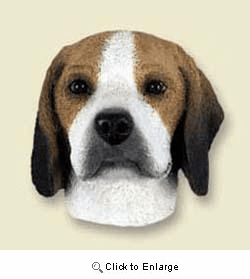 Beagle Magnet