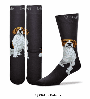 Beagle Realistic Socks