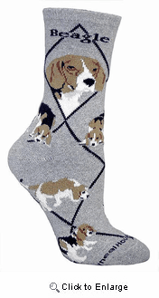 Beagle Socks