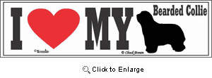 Bearded Collie Bumper Sticker I Love My