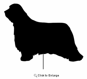 Bearded Collie Garden Stake