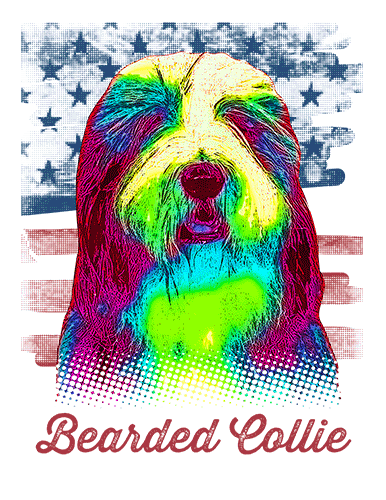Bearded Collie T Shirt American Flag