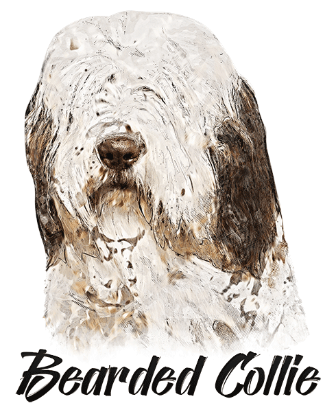 Bearded Collie T-Shirt - Vivid Colors