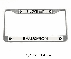 Beauceron License Plate Frame