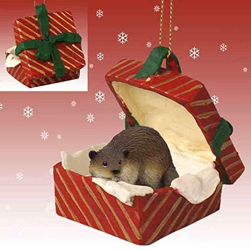 Beaver Gift Box Red Christmas Ornament