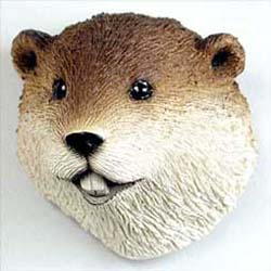 Beaver Magnet