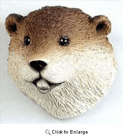 Beaver Magnet