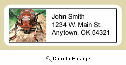 Beetle Address Labels
