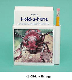 Beetle Hold-a-Note